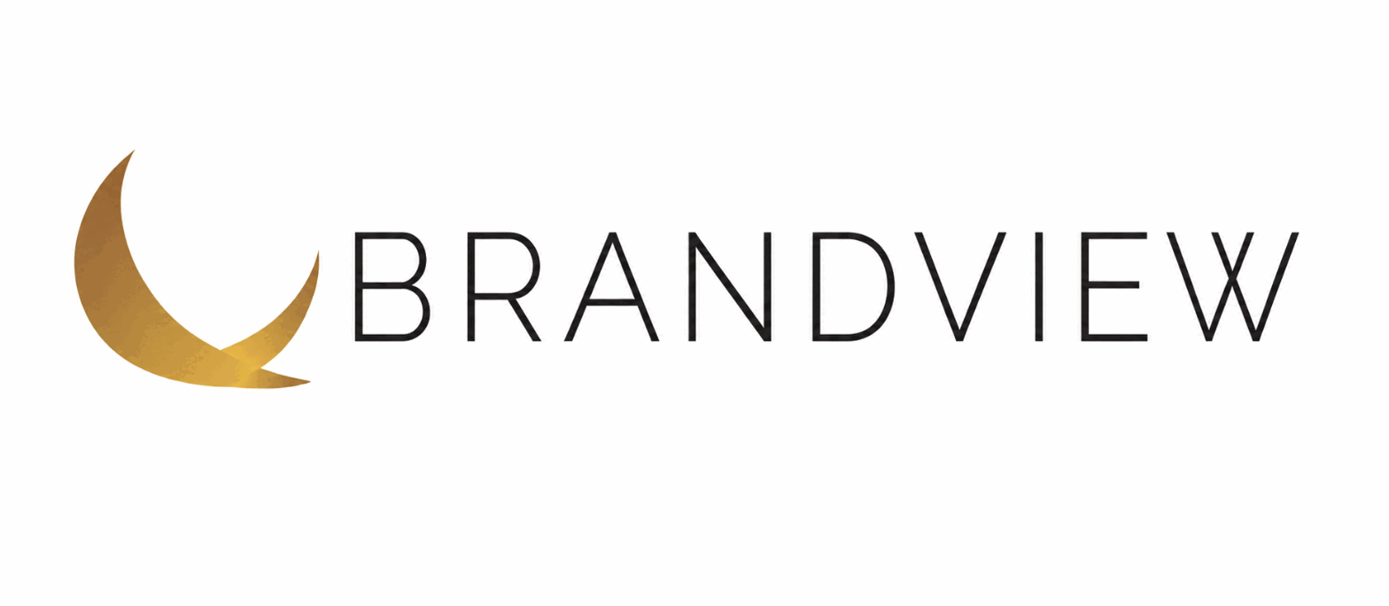 BrandView Capital Partners logo